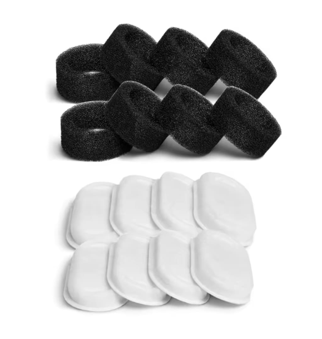 Prevent Cat Dehydration and Painful Urinary Issues