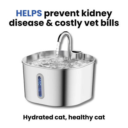 Prevent Cat Dehydration and Painful Urinary Issues