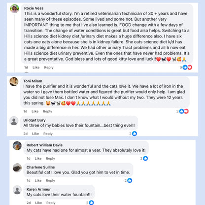 Prevent Cat Dehydration and Painful Urinary Issues